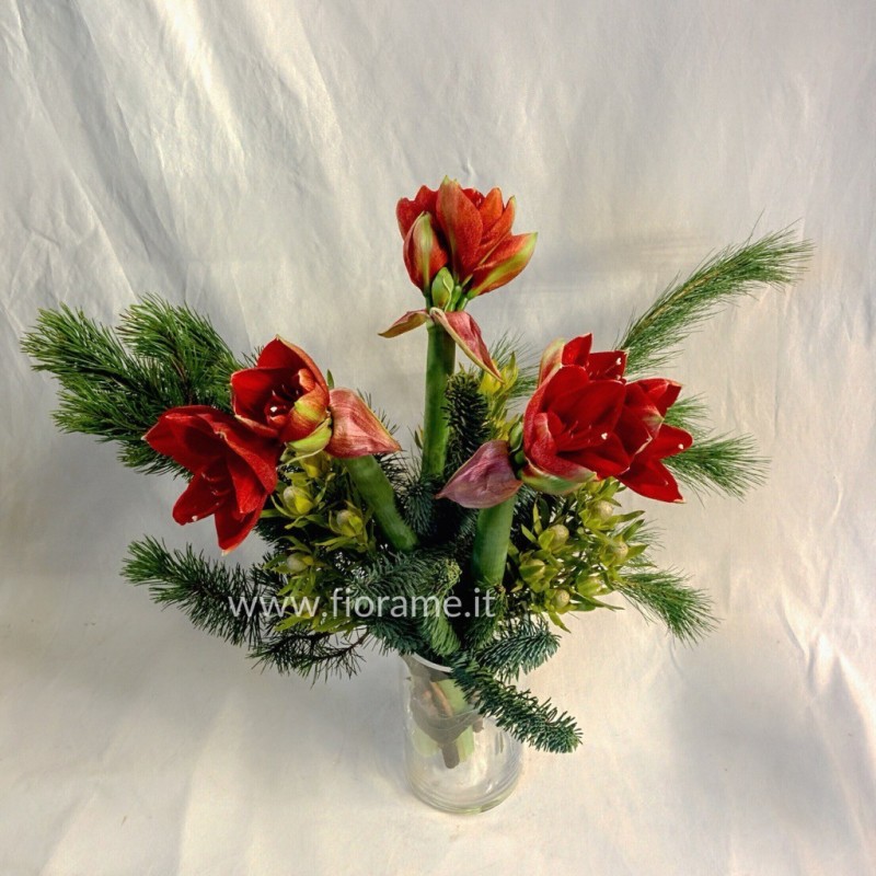 AMARYLLIS pine CONES, EXOTIC CHRISTMAS-deck