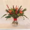 CHRISTMAS CORDIFOLIUM EXOTIC-deck from € ?? a ??
