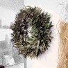 CROWN OLIVE-D45