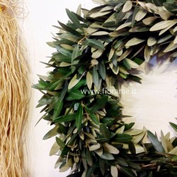 CROWN OLIVE-D45
