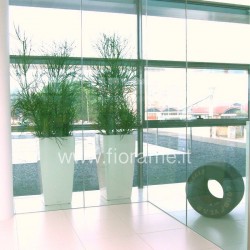 MANAGEMENT ENTRANCE WITH POTTED CUBIC