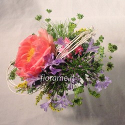 PRIMAVERA QUASI ESTATE da € 24