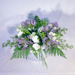 COLORI FRESCHI €34-64