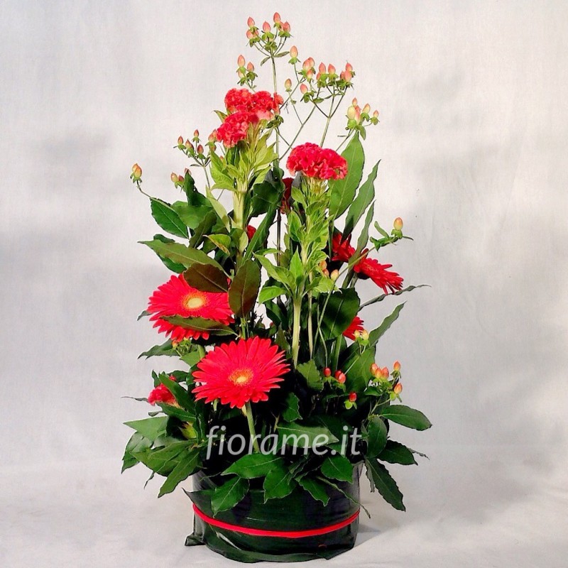 ROSSO - composizione - da € 33 A 49