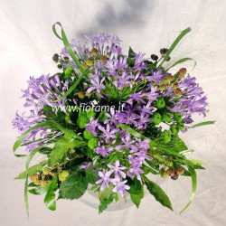 AZZURRO FRESCO €39-89