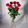 ROSE ROSSE L80 - scegli il nr.