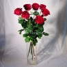 RED ROSES L80 - choose the nr.