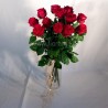 RED ROSES L80 - choose the nr.