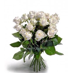 ROSE BIANCHE LUNGHE A NUMERO