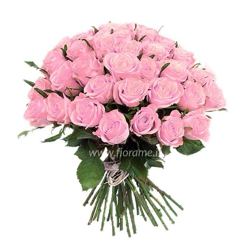 PINK ROSES L60 - choose the nr.