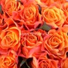 ROSE ARANCIO L60 - scegli il nr.