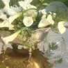 GROVIGLIO OVALE CALLE