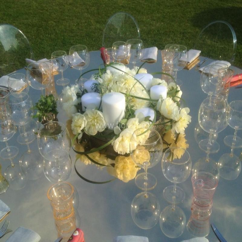 PEONIA CANDELE VOLUTE €53-130