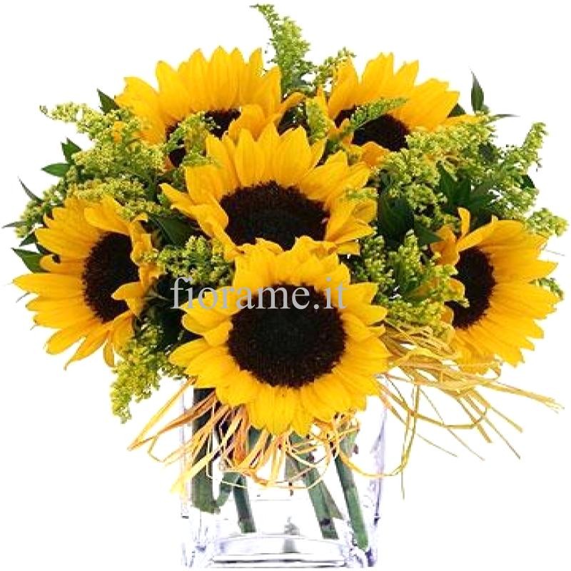 SUNFLOWERS IN NUMBER