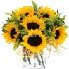 SUNFLOWERS IN NUMBER