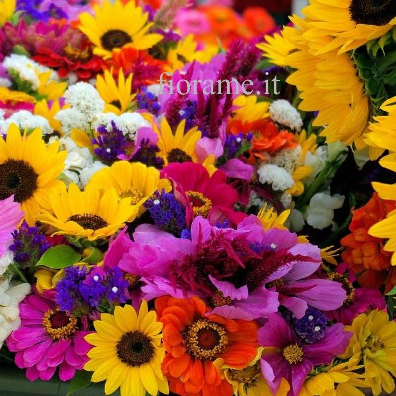 ABBONAMENTO FLOREALE € 29