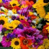 ABBONAMENTO FLOREALE € 49