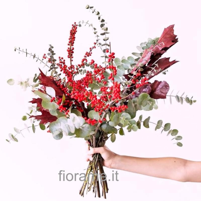 ILEX €43-70