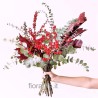 ILEX €43-70