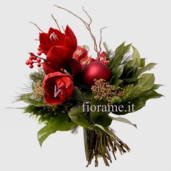 CHRISTMAS AMARYLLIS €35-65