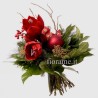 AMARYLLIS NATALIZIO €35-65