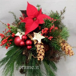 STELLE PIGNE €35-75