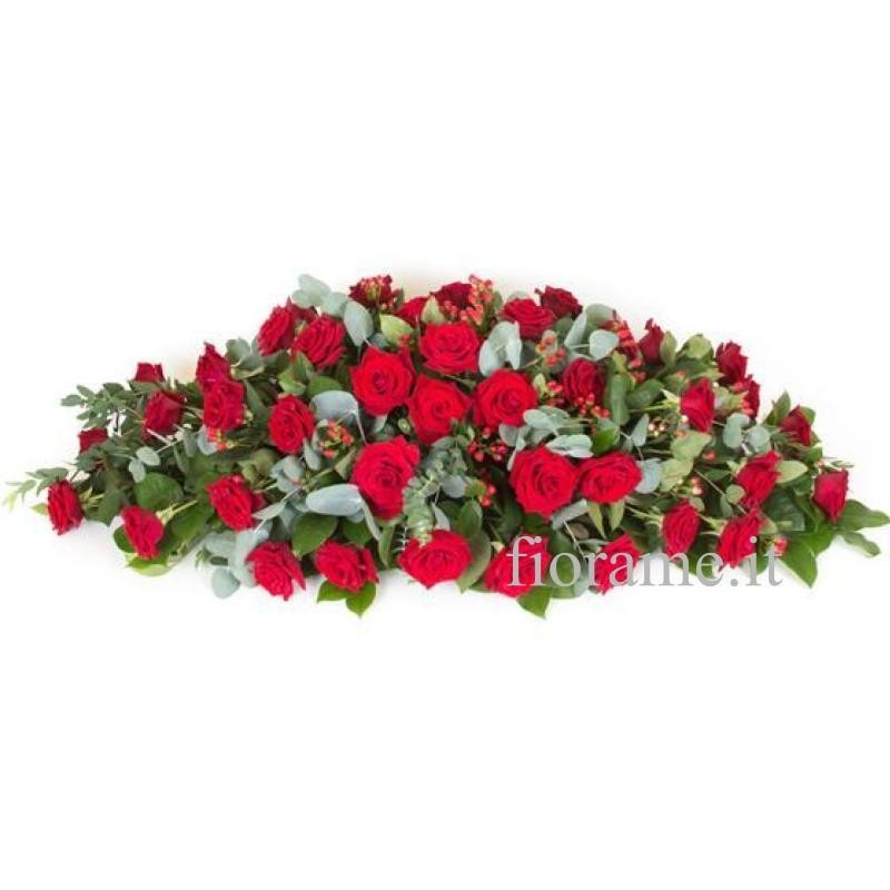 CUSCINO PLUS R1 €158-338