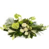 CUSCINO PLUS G+W €158-338