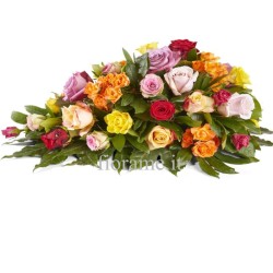 CUSCINO PLUS CM1 G €158-338