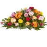 CUSCINO PLUS CM1 G €158-338