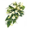 CUSCINO  STAN W G €115-237