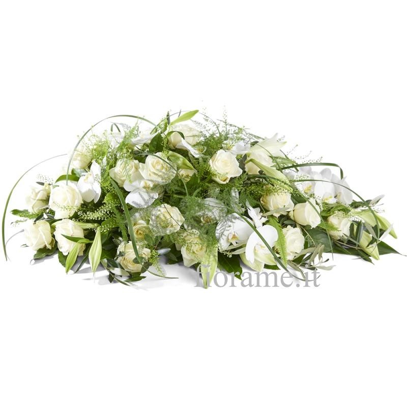 CUSCINO PLUS W1 G €158-338