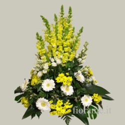 ARRANGEMENT  STAN Y1 €90-197