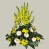 COMPOSIZIONE  STAN Y1 €90-197