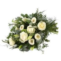MAZZO CONDOGLIANZE BV €39-79