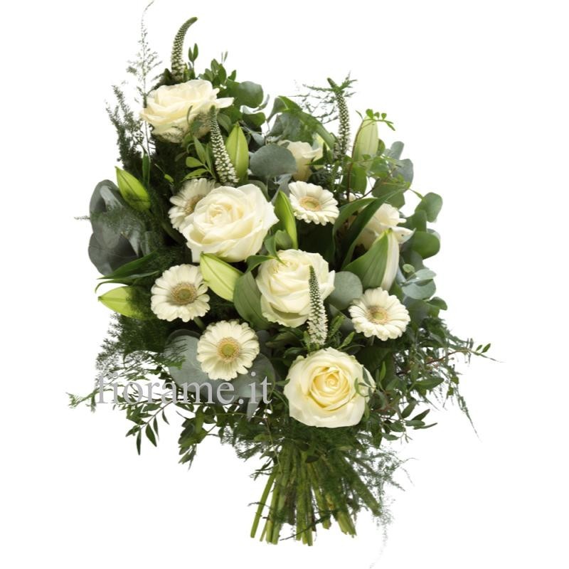 MAZZO CONDOGLIANZE BV €39-79