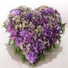 CUORE VP