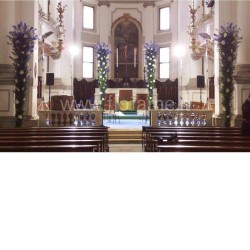 CONO FLOREALE
