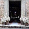 CHIESA GYPSOPHILA 4