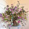 CLEMATIDEA €120-180