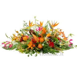 CUSCINO PLUS O+R €158-338