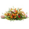 CUSCINO PLUS O+R €158-338
