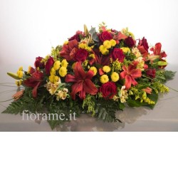 PILL.  EX F.MIXED R+1 €150-300