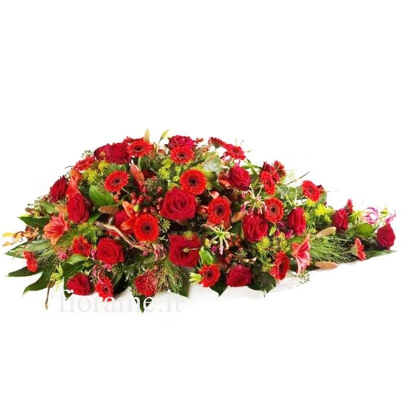 CUSCINO PLUS R G €158-338