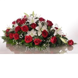 CUSCINO PLUS R+W €158-338
