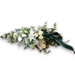 CUSCINO PLUS MAZZO W €158-338