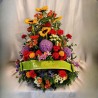 COMPOSIZIONE PLUS MC €122-274