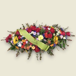 CUSCINO PLUS CM2 €158-338