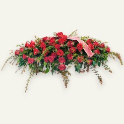 CUSCINO PLUS R2 €158-338
