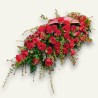 CUSCINO PLUS R2 €158-338